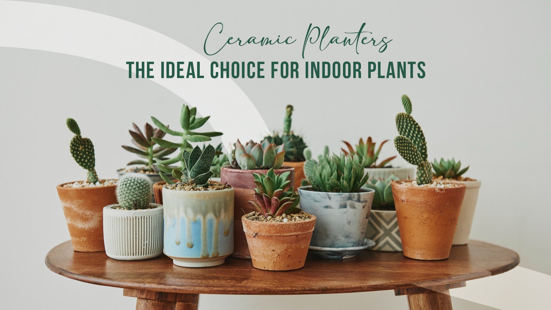 Ceramic Planters: The Ideal Choice for Indoor Plants