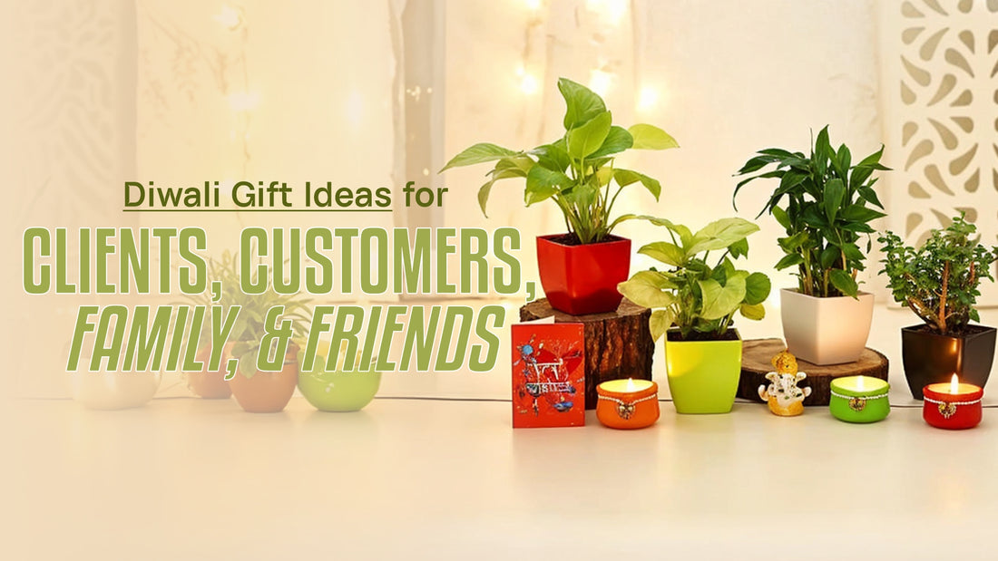 Diwali Gift Ideas for Clients, Customers, Family, & Friends