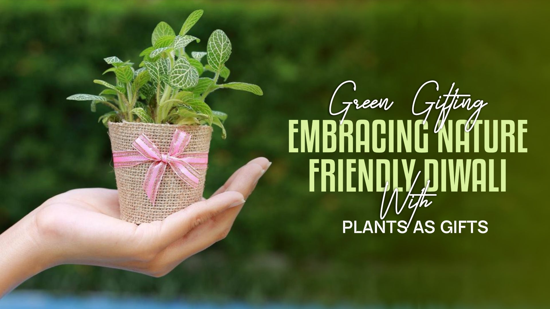 Green Gifting: Embracing Nature-Friendly Diwali with Plants as Gifts