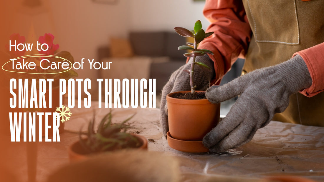 How to Take Care of Your Smart Pots Through Winter