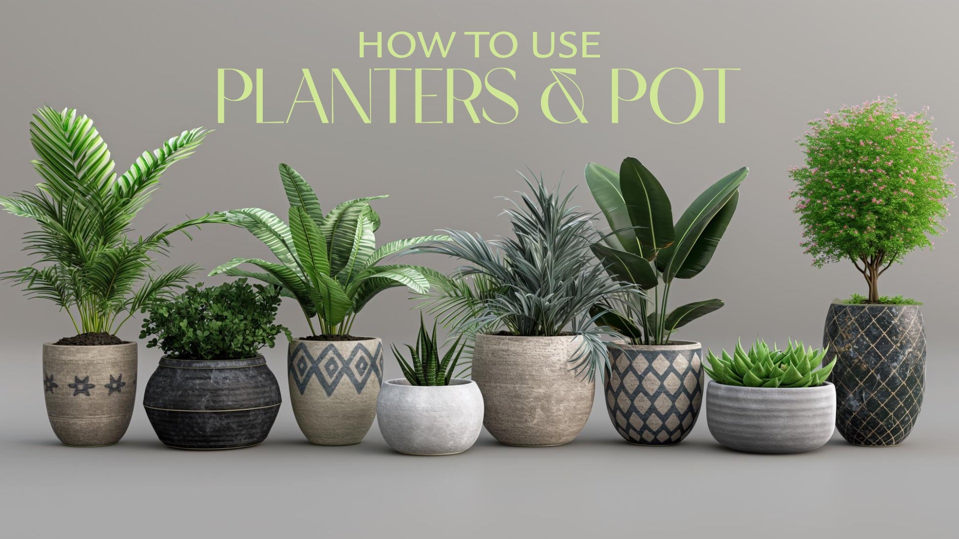 Planters & Pots: A Complete Guide to Planting and Decorating