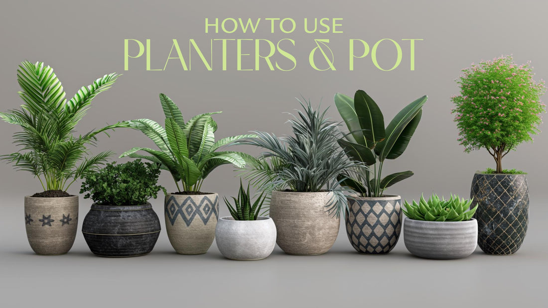 How to Use Planters & Pots?