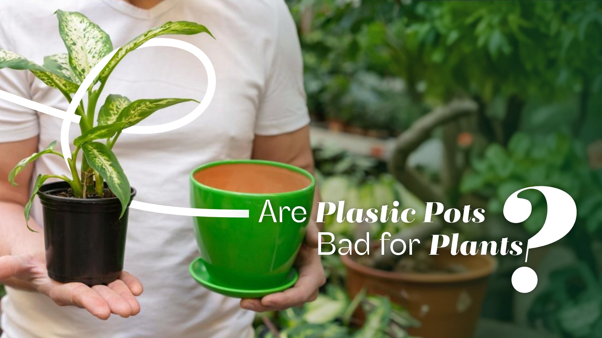 Are Plastic Pots Bad for Plants?