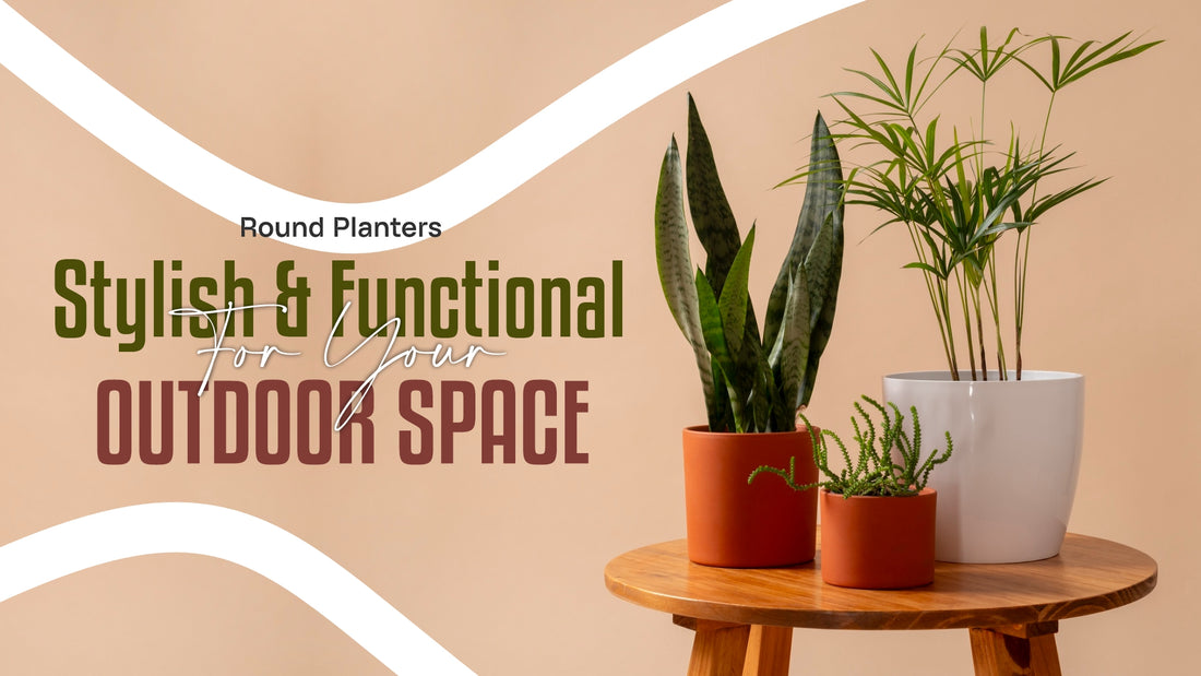 Round Planters: A Stylish and Functional Addition to Your Outdoor Space