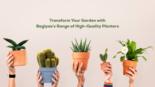 Transform Your Garden with Bagiyaa's Range of High-Quality Planters