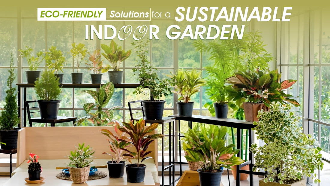 Eco-Friendly Solutions for a Sustainable Indoor Garden