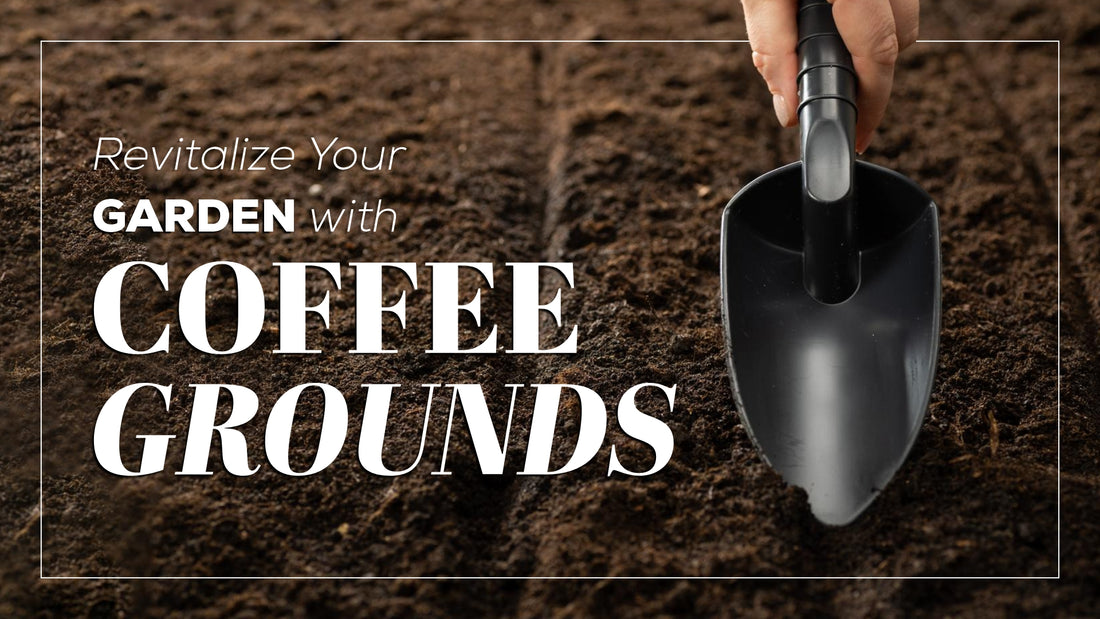 Revitalize Your Garden with Coffee Grounds