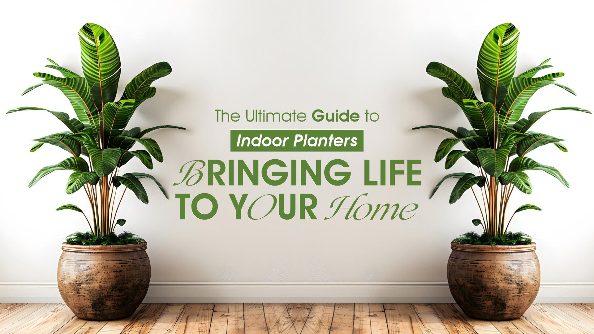 Internal Planting The Ultimate Guide to Indoor Planters: Bringing Life to Your Home