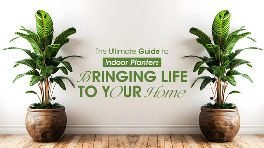 The Ultimate Guide to Indoor Planters: Bringing Life to Your Home