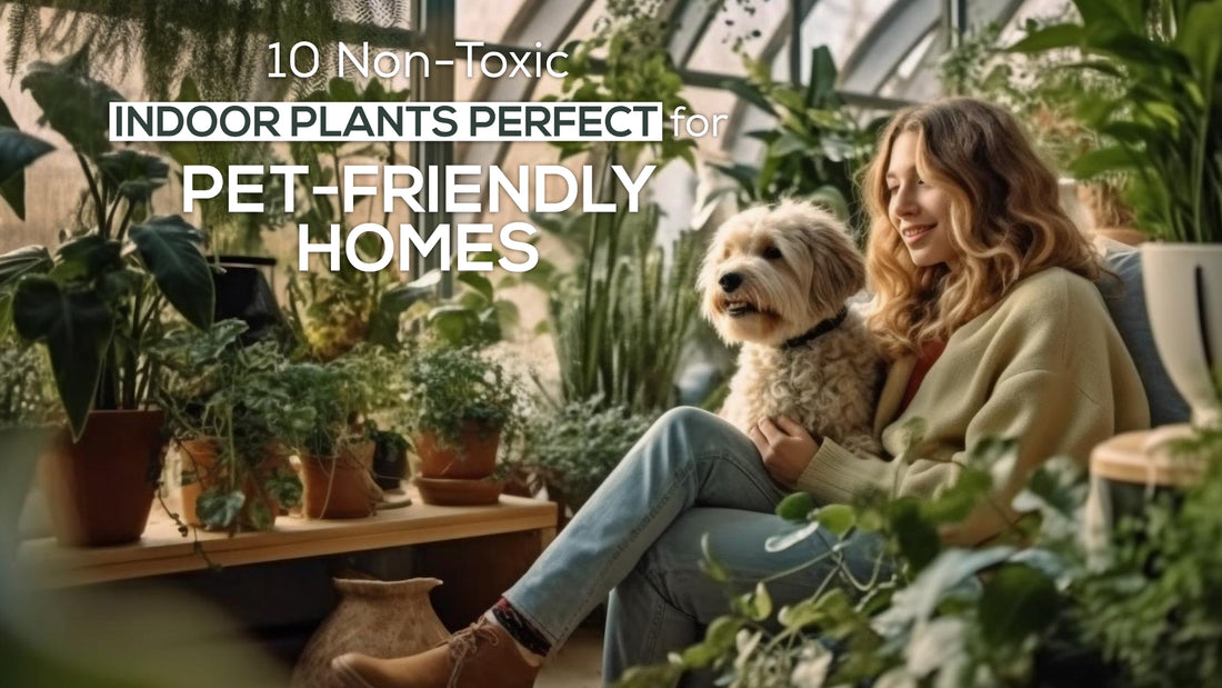 10 Non-Toxic Indoor Plants Perfect for Pet-Friendly Homes