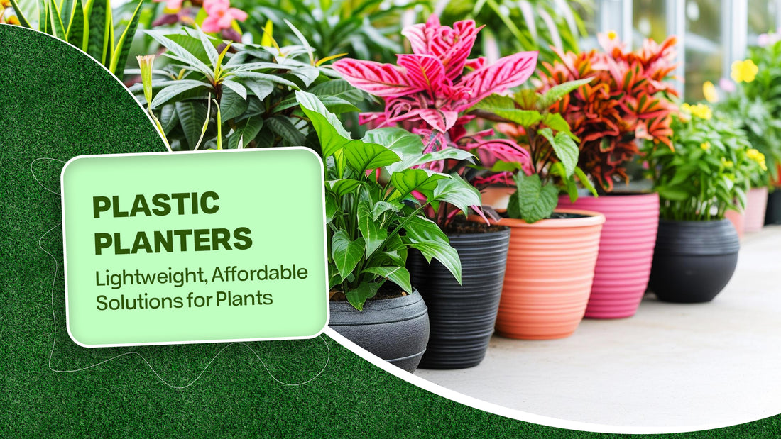 Plastic Planters:Lightweight, Affordable Solutions for Plants