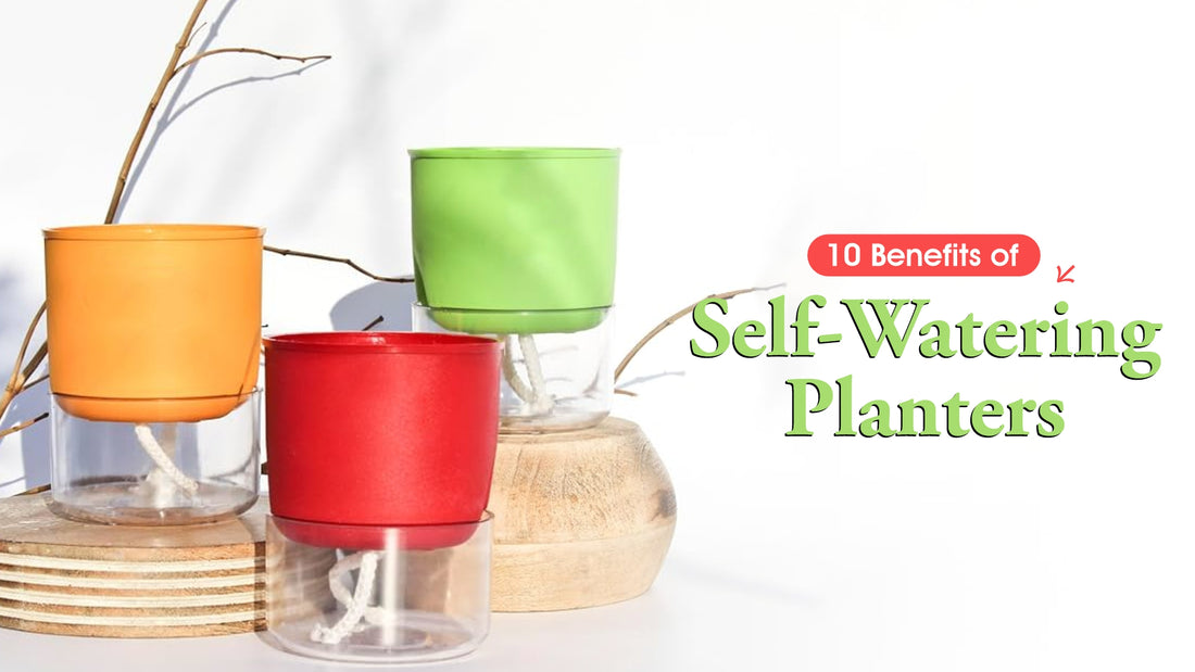 10 Benefits of Self-Watering Planters