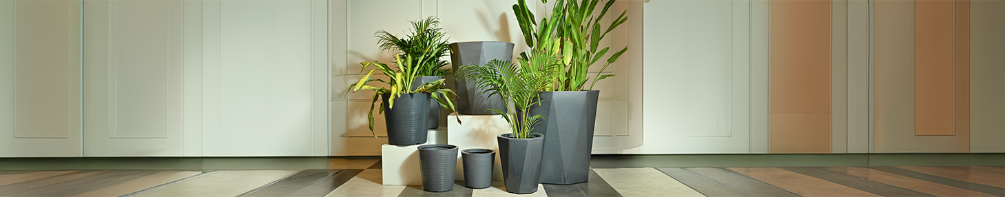 collections/Ceramic_Planters_c7eaa45c-170a-4645-bbac-b86ff9b78a37.png