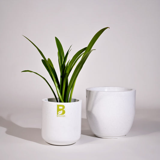 Cup Set Of 2