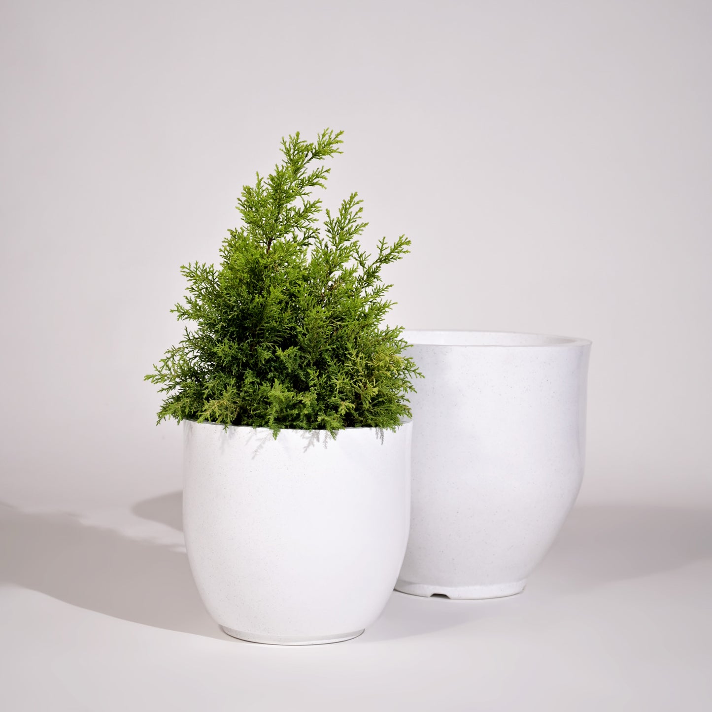 Cup Set Of 2