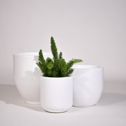 Cup Set Of 3