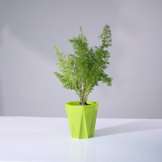 Prism Decorative Planters