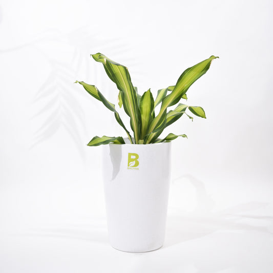 Cylindro Floor Planter
